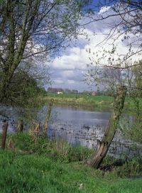 Landschaftsfoto Altrheinarm 